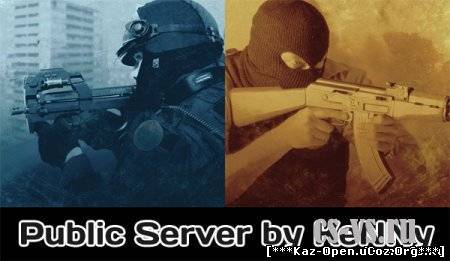 Public Server